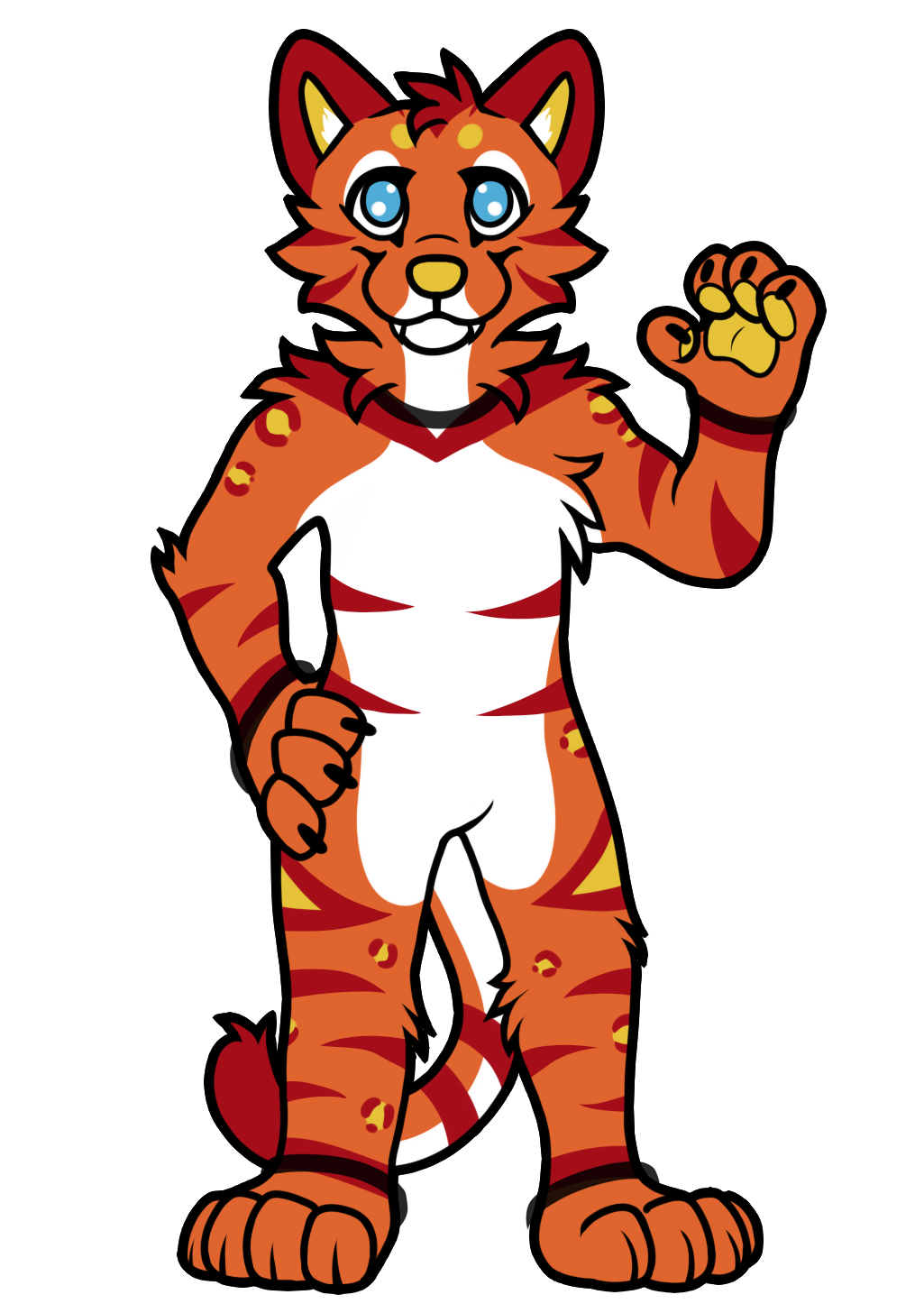 Full Suit